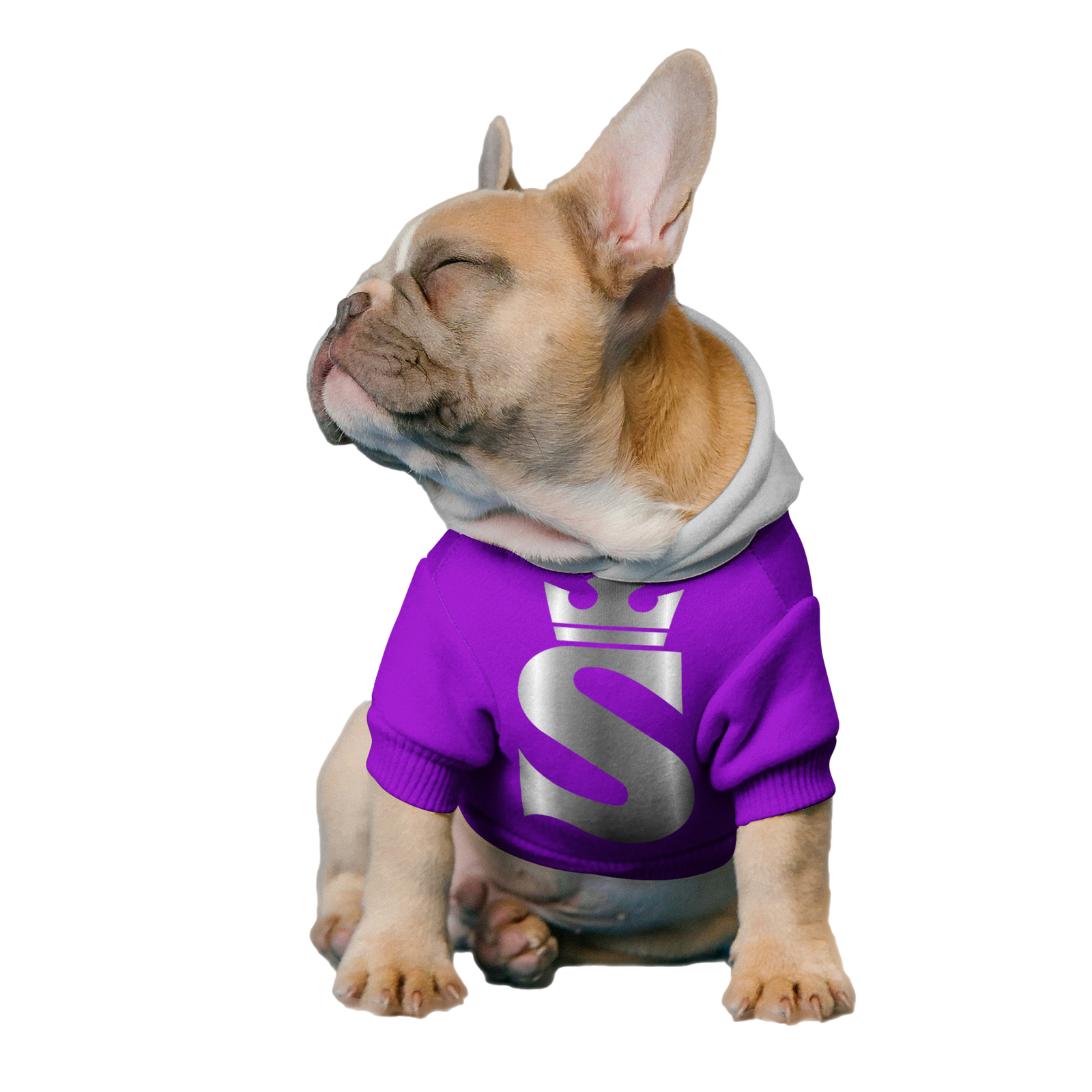 dog-clothes-mockup